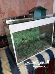  2 حوض سمك بحاله ممتازه استخدام اسبوع