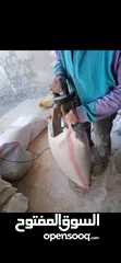  4 مكسرات ماليزيه