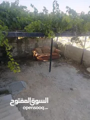  3 شقتين متجاورتين ارضيتين للايجارمطله على عين الباشا بالقرب من المطلات