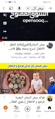  1 بيض فر للمائدة