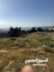  2 ارض للبيع في ناعور