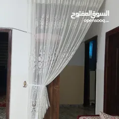  1 برادي دانتيل