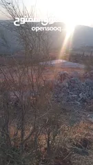  7 قطعة أرض مميزة في أجمل مناطق كفير جرش
