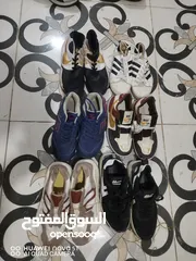  7 شرررروة أوروبي ولادي بناتي رياضه نخب بسعر البلاااااش