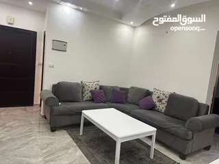  6 Furnished apartment for rent near ICS