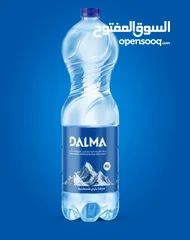 13 مياه دلما الصحيه