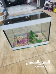  7 حوض سمك مجهز عبي مي و حط سمكاتك ، الطول 32 سم ارتفاع 23 سم عمق 21 سم