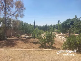  11 مادبا حواره مزرعه للبيع
