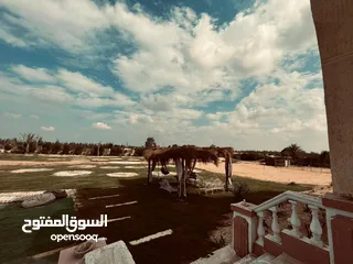  15 قصر للايجار بحمام سباحه