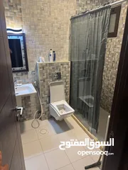  17 شقة مفروشة سوبر ديلوكس اعلان رقم (T250)
