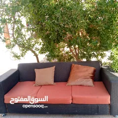  1 كنبايات شبه وكاله