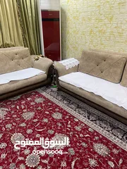  6 قنفات تركي