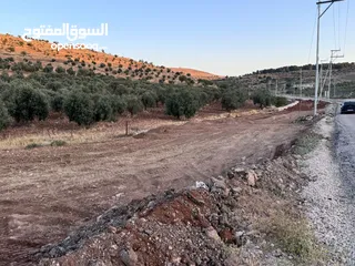  9 ارض للبيع مساحه 6 دونم و 400 متر النعيمه مستصلحه واصل كهرباء على شارع معبد 10 متر وقريبه من الخدمات