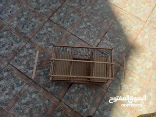  3 مصيده عصافير  وطيور وبلابل وحسون وحمام  ملطش لم يستعمل ومصيده ذكيه