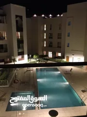  1 1 bhk pool view in liwan