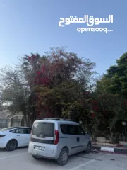  1 فيات دوبلو 2018 ترخيص 2017 للبيع