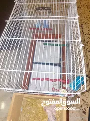  6 طيور للبيع