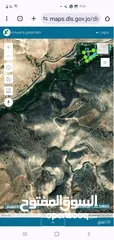  28 كرم رمان مثمر مروي من تبع ماء مساحة الكرم 8250 متر مربع على شارعين في وادي الرمان دير ابو سعيد منتج