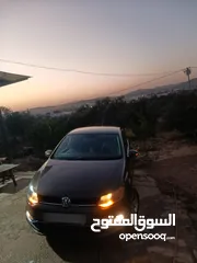  1 بولو جير عادي الحبة النادرة باللون و الجمال و الفحص