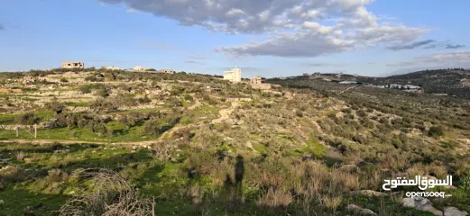  15 دونم ارض طابوا فلسطيني منطقة (B)بالقرب من دوار كفرصور جميع الخدمات فيها عليها شارع 12متر موقع مميز