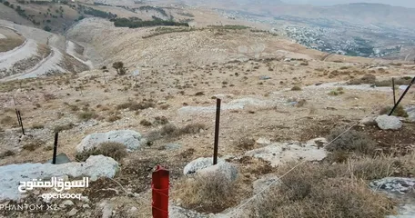  4 بعد الصلاة ع النبي أرض بموقع ممتاذ للأستثمار نابلس امتدات المساكن الشعبيه منطقة عين كاكوب