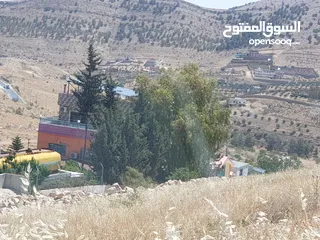  2 خمس دونمات في بيرين على شارعين بسعر مغري لفيلا او مزرعة