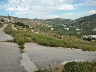  3 نمر مميزة للبيع