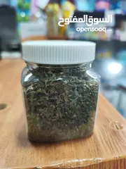  4 يا صاحبي! يبدو أن قطتك في طريقها لقضاء وقت ممتع! هل سبق لك أن جربت زراعة النعناع البري الخاص بك؟