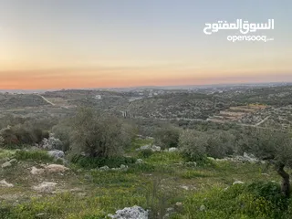  2 ارض كوشان نضيف ب اسم شخص واحد مرتفعه على شارعين تبعد عن شارع رئيسي 100 متر واصل جميع الخدمات