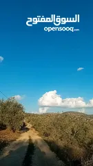  2 ارض للبيع بسعر مميز