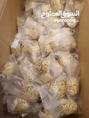  2 تمر بالطحنيه محشي  ونكهه التمر بالزعفران
