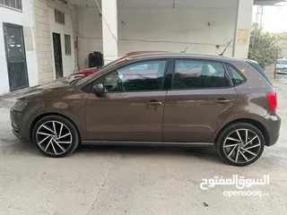  3 بولو جير عادي الحبة النادرة باللون و الجمال و الفحص