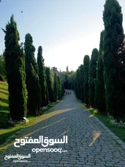  2 ارض سكنية 200 مترالحشان خلف جامع ابوزعنيين