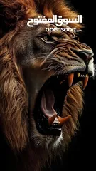  3 ‘MmmmmmmmmmmmmM’......