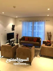  1 fully furnished apartment for rent