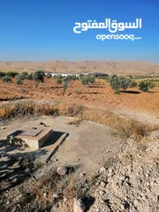  3 ارض للبيع في شمال عمان منطقة صروت تبعد 10كم عن شفابدران بسعر مغري جدا