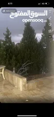  4 بيت للبيع في منطقة ناعور حسبان
