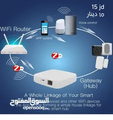  10 mini smart switch