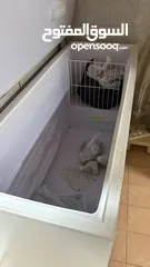  5 فريزر بحاله جيده جدا للبيع منطقة بوقوه الحجم كبير جدا