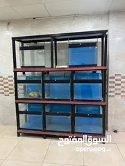  3 واجهه احواض سمك للبيع