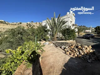  5 ارض للبيع السلط بسعر مغري جدا