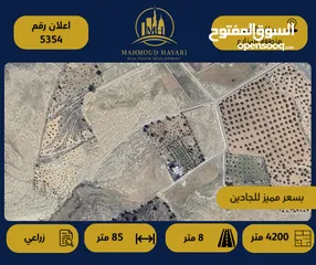 1 رقم الإعلان: (5354) قطعة أرض زراعية مميزة في عراق الأمير – منطقة المزارع