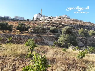  2 دونم ارض للبيع مراح رباح كوشان طابو