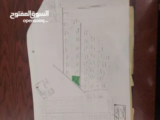  4 ارض مميزة في المفرق اقل من نصف سعر التكلفة قرية الحميدية حوض غدير الصفا