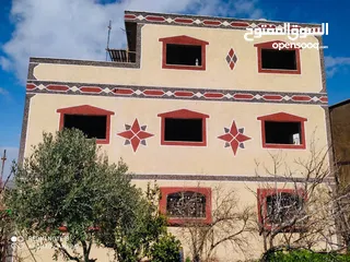  1 ابو عثمان للزفزاف والجرانيت والبزرة