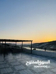  6 شالية ومزرعة تل زرعه سد وادي العرب