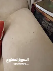  2 طقم جلوس،عصري أمريكي