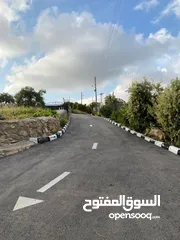  2 مزرعة مميزة للبيع في السلط / المغاريب