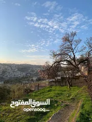  2 ارض للبيع في السلط تصلح لبناء اسكانات
