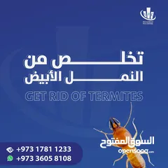  5 IPC Is Providing 24/7 Pest Control Service in Bahrain - Contact Now!